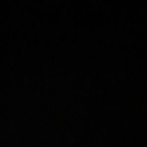 Meet your Posher, Riley